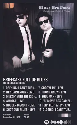 The Blues Brothers - Briefcase Full of Blues.jpg